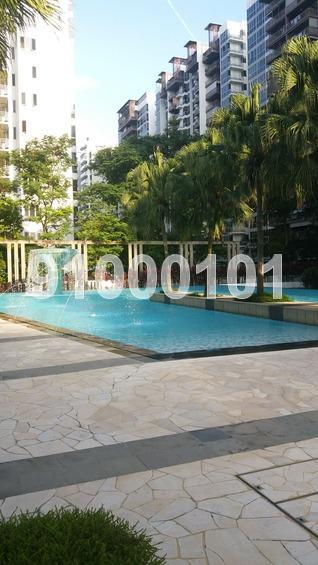 Park Green (D19), Condominium #164127102